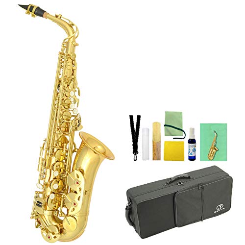 Amazon | SELVA/初心者向けアルトサックス入門セット Alto Sax SAS-100