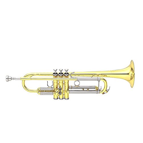 Amazon.co.jp: ヤマハ YAMAHA カスタムトランペット YTR-850 : 楽器