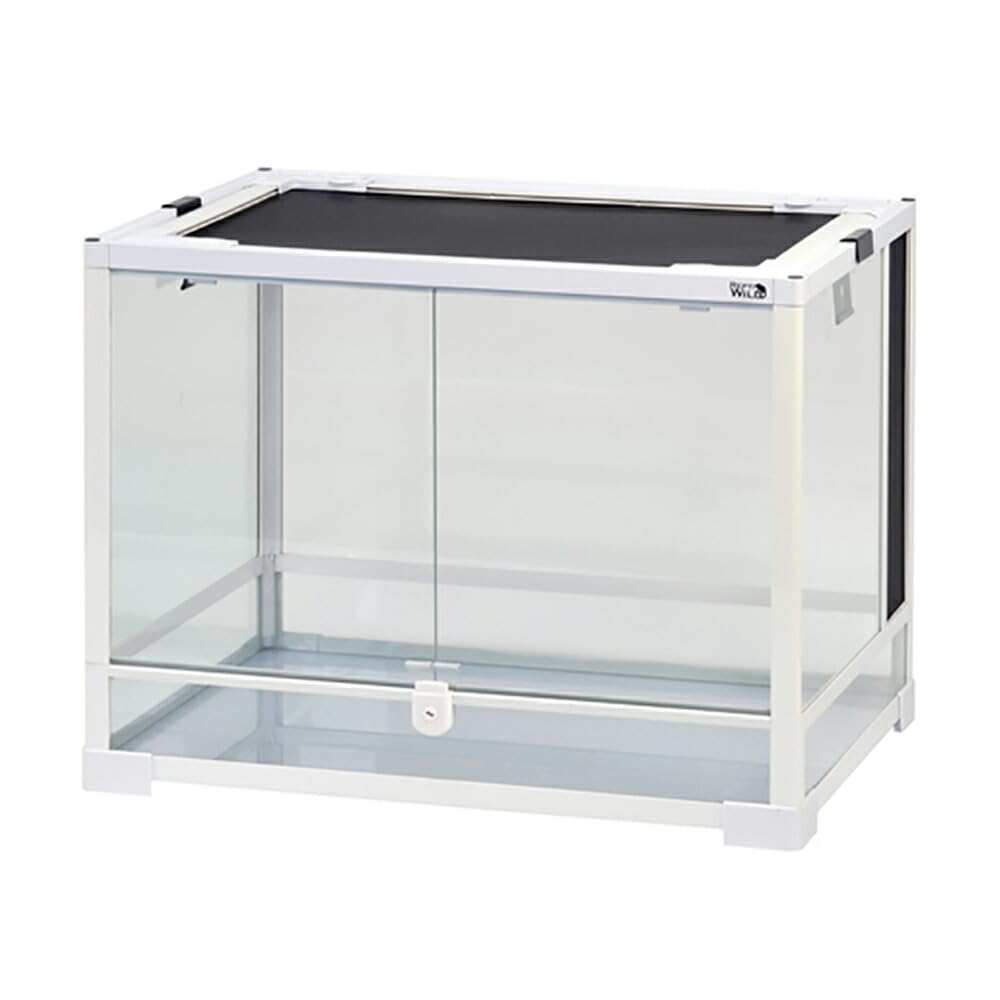 Amazon | 三晃商会 SANKO パンテオン カノン ホワイト WH6045 | Sanko