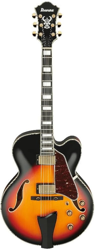 Amazon | Ibanez/Artcore Expressionist AF95-BS [フルアコ