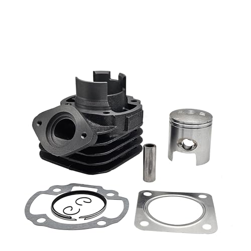 Amazon | leihuo 44mm ボアアップキット適用され ライブディオ ZX AF34