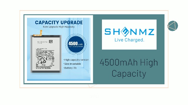 Amazon.com: SHENMZ Battery for Samsung Galaxy S20 Plus, 4500mAh