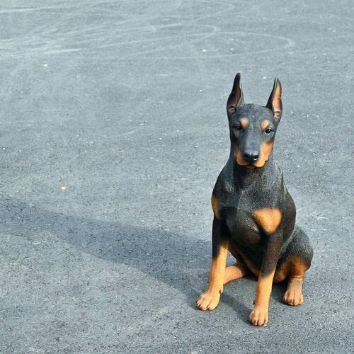 Amazon.co.jp: オーナメント置物黒ドーベルマン置物オブジェ犬いぬ 犬