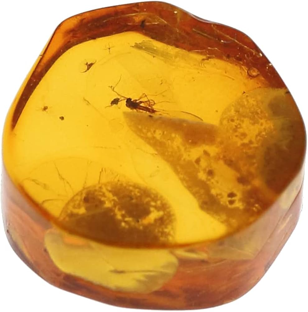 Amazon | GALLERY megumi 鑑別書付き 天然 虫入り 琥珀 ルース 2.413ct