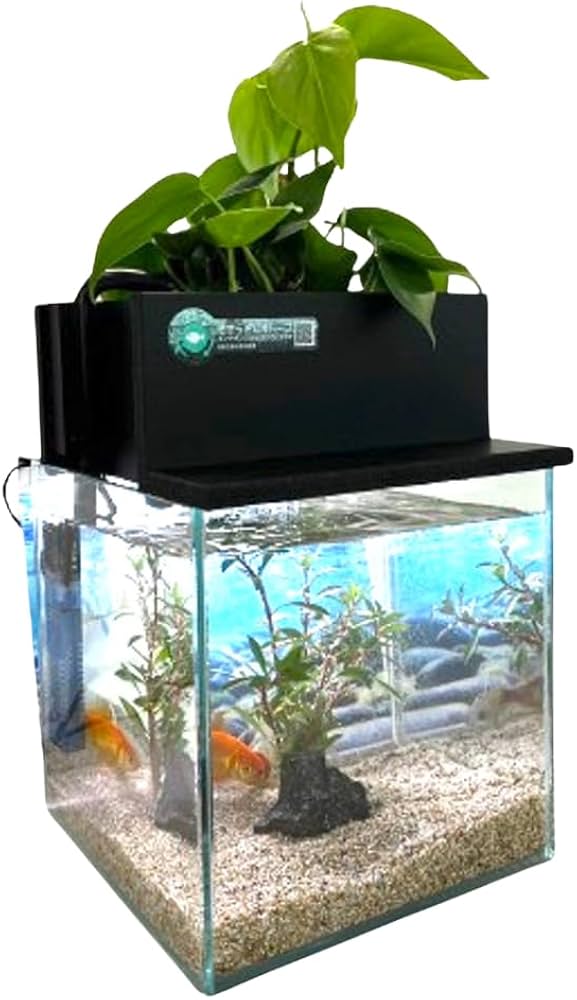 Amazon | せせらぎビオトープ 水替え不要【水槽セット】 20cm型 【色