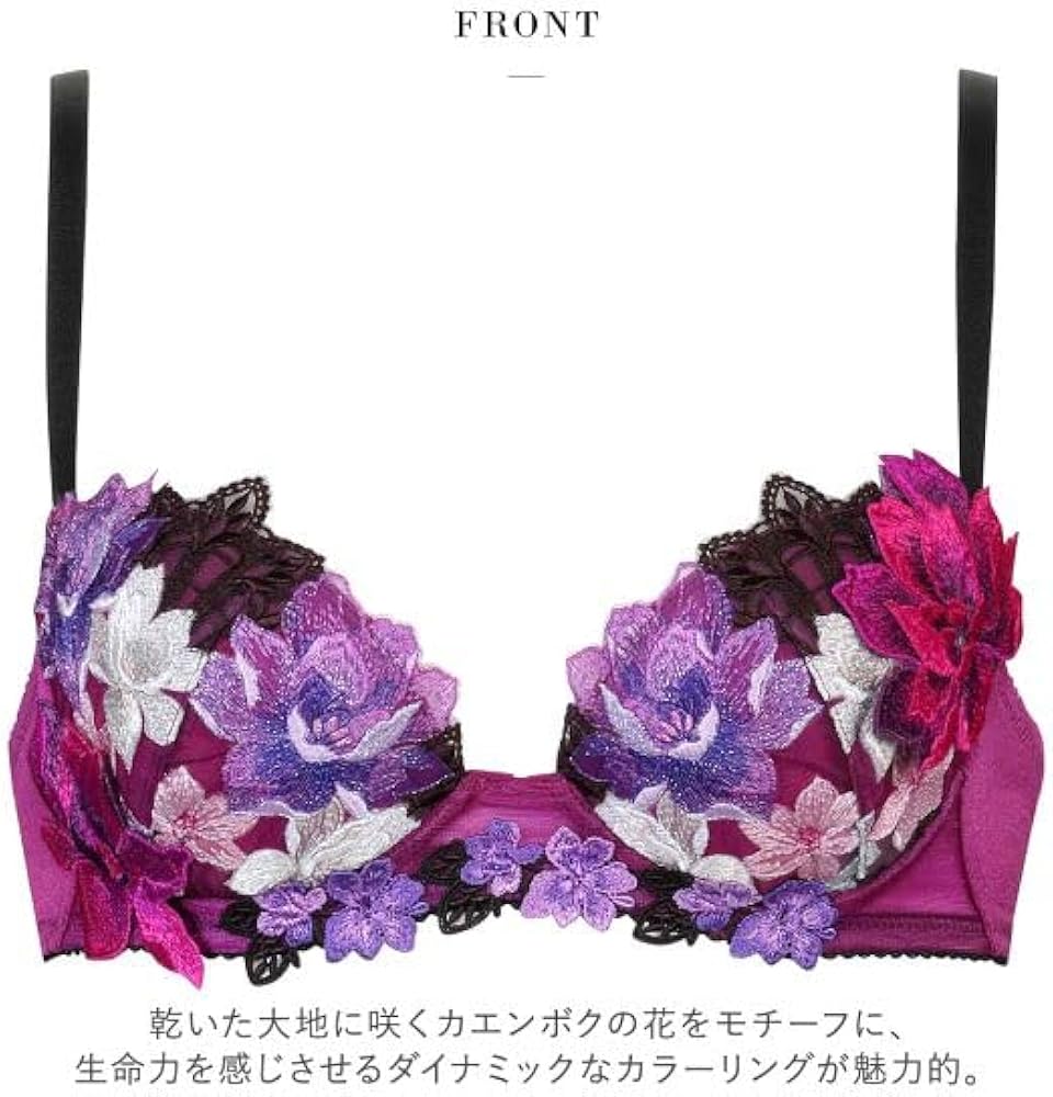 Amazon | ワコール Wacoal サルート Salute 30G P-UP ブラジャー DEF