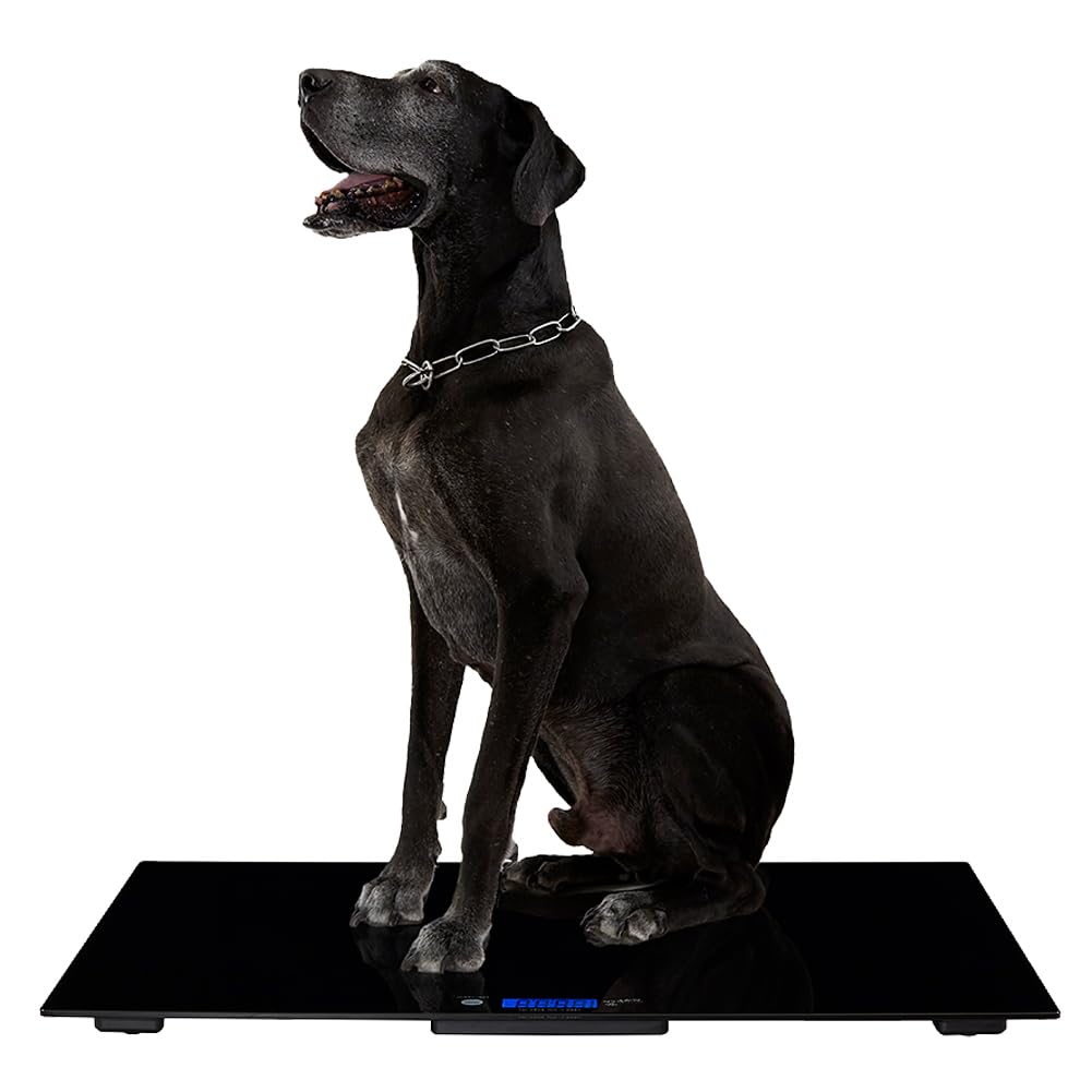 Amazon.co.jp: ペット 体重計 大きい 78cm×50cm 大型犬 中型犬 ペット