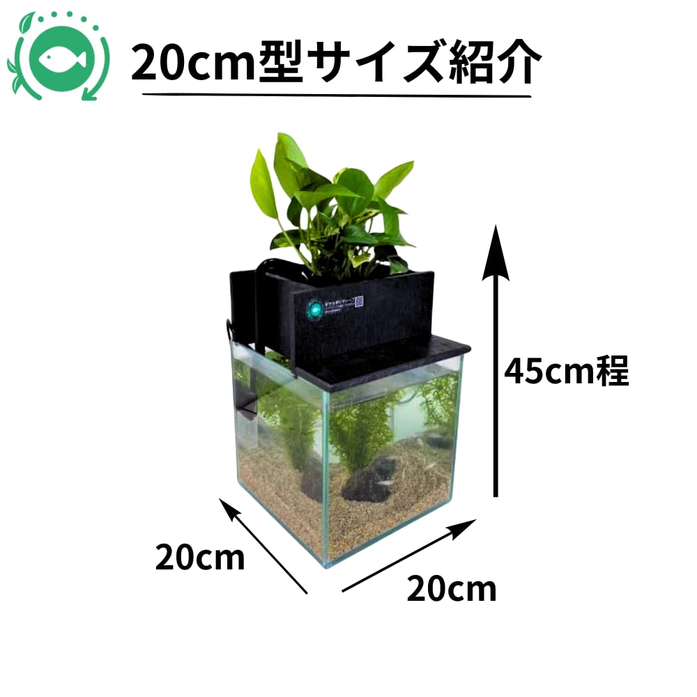 Amazon | せせらぎビオトープ 水替え不要【水槽セット】 20cm型 【色