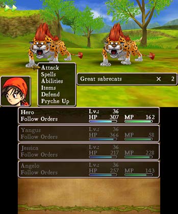 Amazon.co.jp: Dragon Quest VIII: Journey of the Cursed King