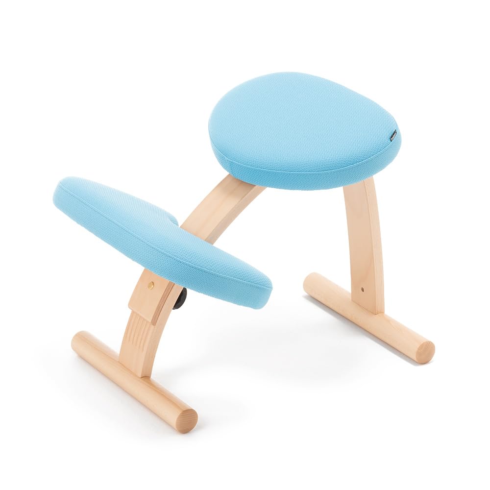 展示品】balans Easy バランスチェア イージー サカモトハウスi4