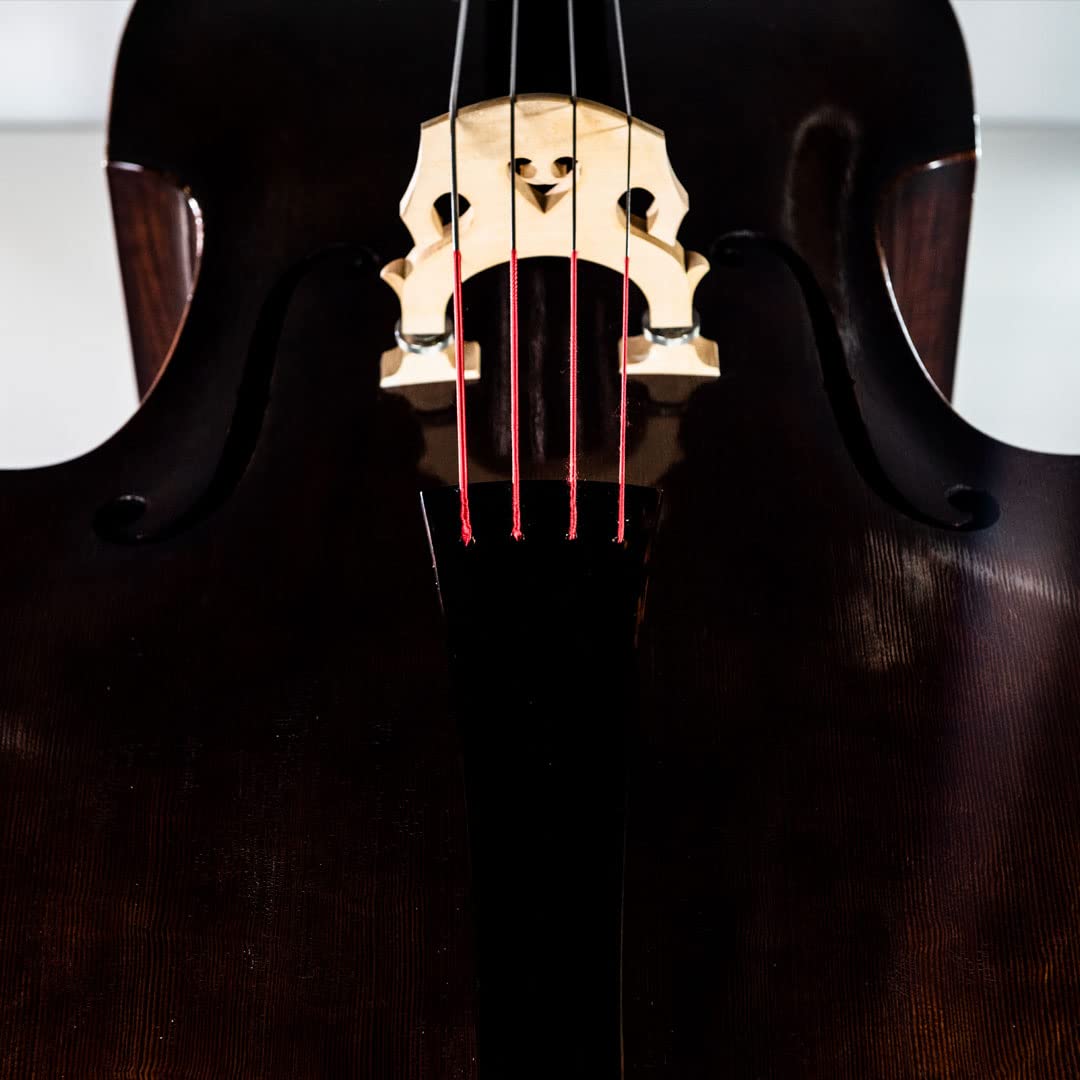 Amazon | SPIROCORE スピロコア コントラバス弦セット 3/4 MEDIUM