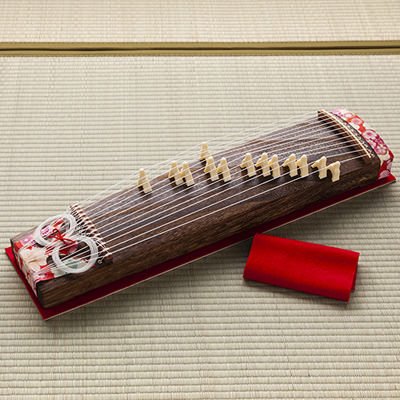 Amazon.co.jp: 琴 こと 観賞用ミニ琴“琴太朗君” 日本国内に現存する