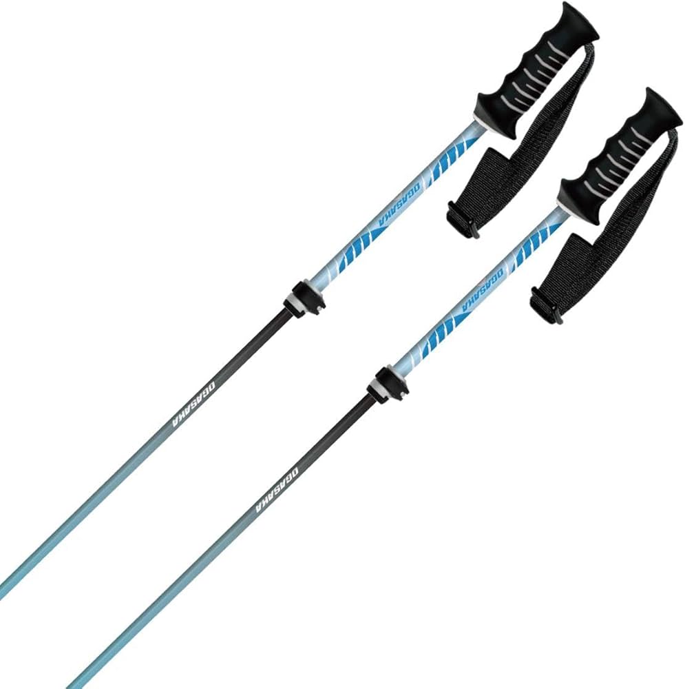 Amazon | OGASAKA オガサカ スキー ポール ストック メンズ レディース