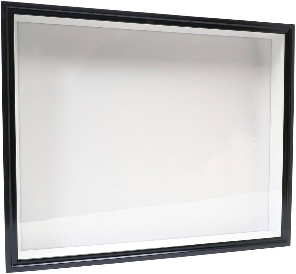 Amazon.co.jp: 【薄型55】大型ドイツ型標本箱（黒） : おもちゃ