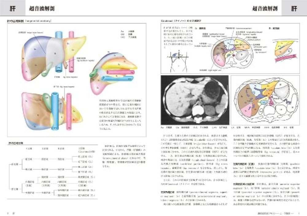 腹部超音波テキスト〜上・下腹部〜 改訂第三版 (Atlas Series超音波編