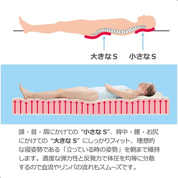 Amazon.co.jp: Magniflex(マニフレックス) エルゴトッパー 睡眠の質を