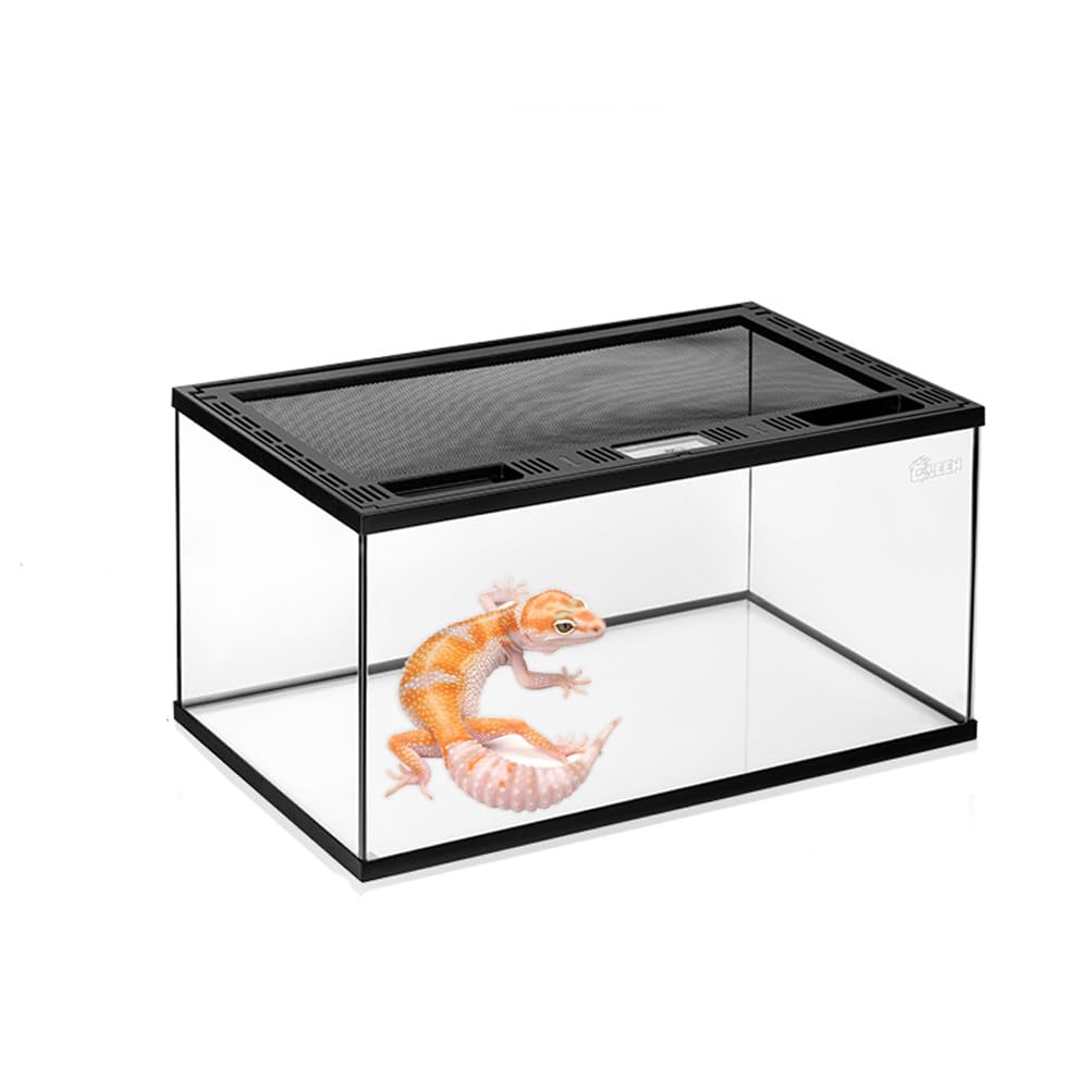 Amazon | 爬虫類 ケージ グラステラリウム 飼育ケース 大 昆虫飼育