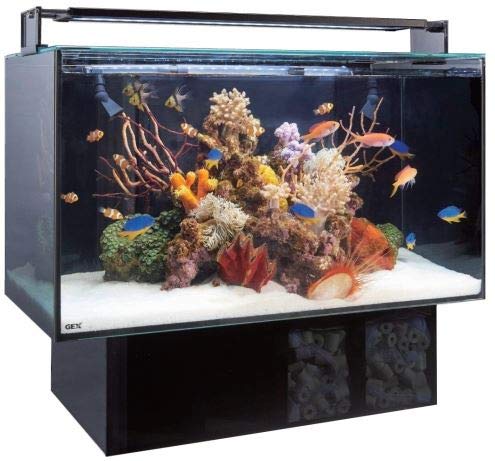 Amazon | ジェックス 水槽 グラステリア アグス OF-450 | GEX | 水槽 通販