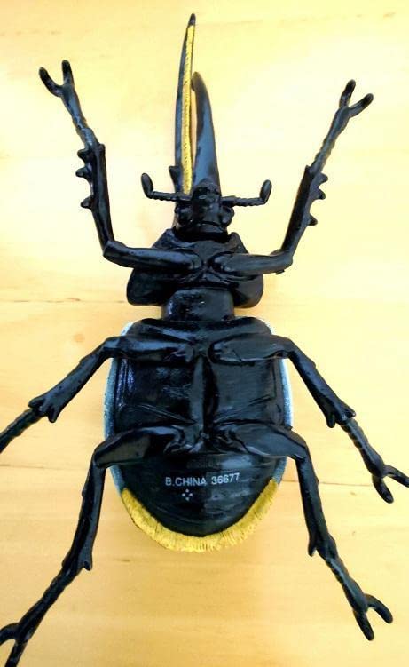 Amazon | ヘラクレスリッキーブルー ムシキング 大きい 昆虫