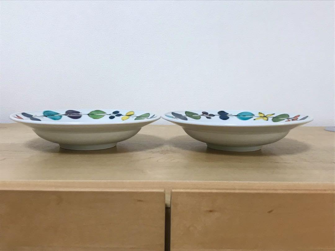 Amazon.co.jp: 九谷青窯 徳永遊心さん 色絵花繋ぎ 6寸深皿 : ホーム