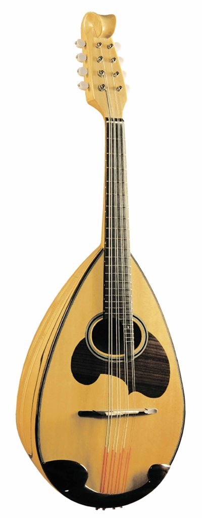 Amazon | 鈴木 マンドラ MD-10 | マンドリン | 楽器・音響機器