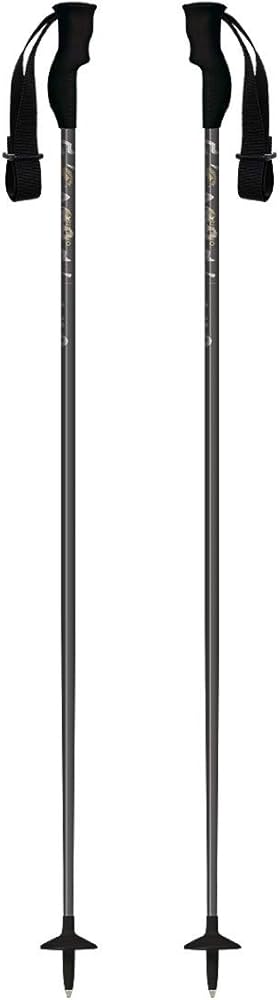 Amazon | SINANO(シナノ) スキーポール 2023 BUMP DIVER ブラック BK