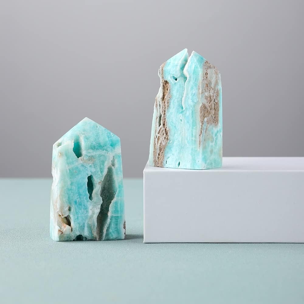 佐藤走波（五代）染錦牡丹文 有田焼 走波74歳 染錦牡丹