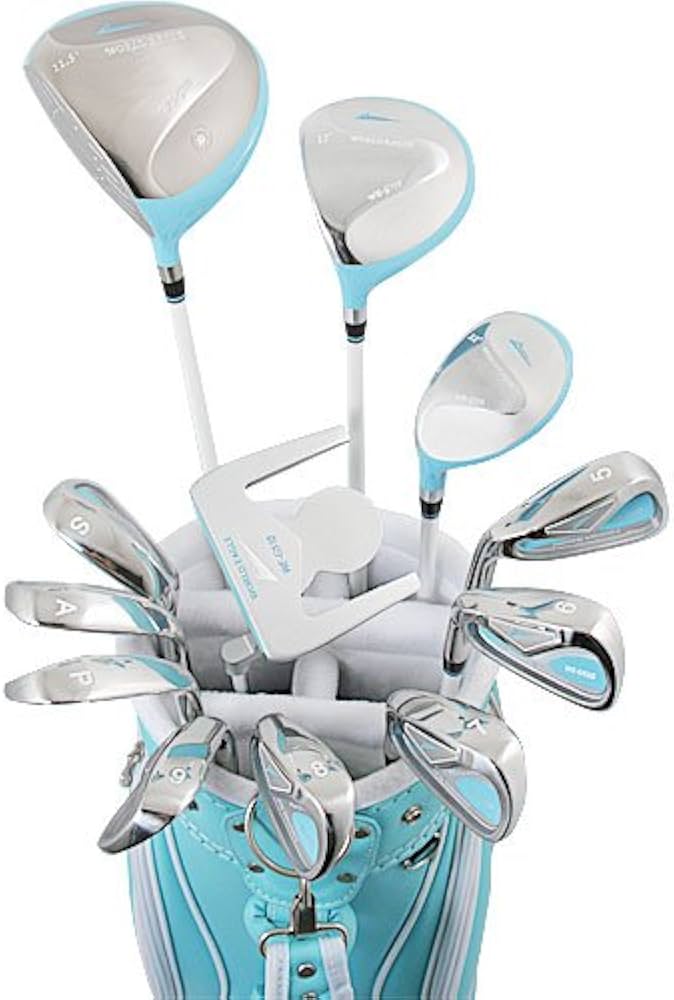 WORLD EAGLE ゴルフクラブセット 10本キャディバックレディース