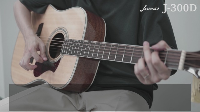 Amazon | James J-300D BBT (ブラウンバースト) アコースティック