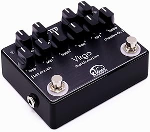 Vivie Coral Choir - バリエーション豊かなサウンドメイクが可能となっ