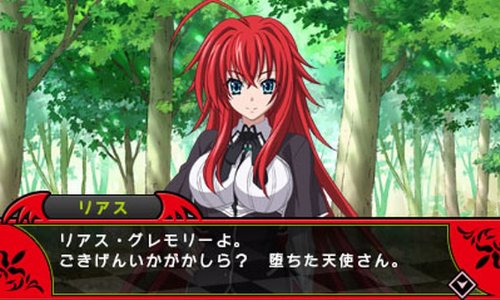 Amazon.co.jp: ハイスクールD×D 通常版 - 3DS : ゲーム