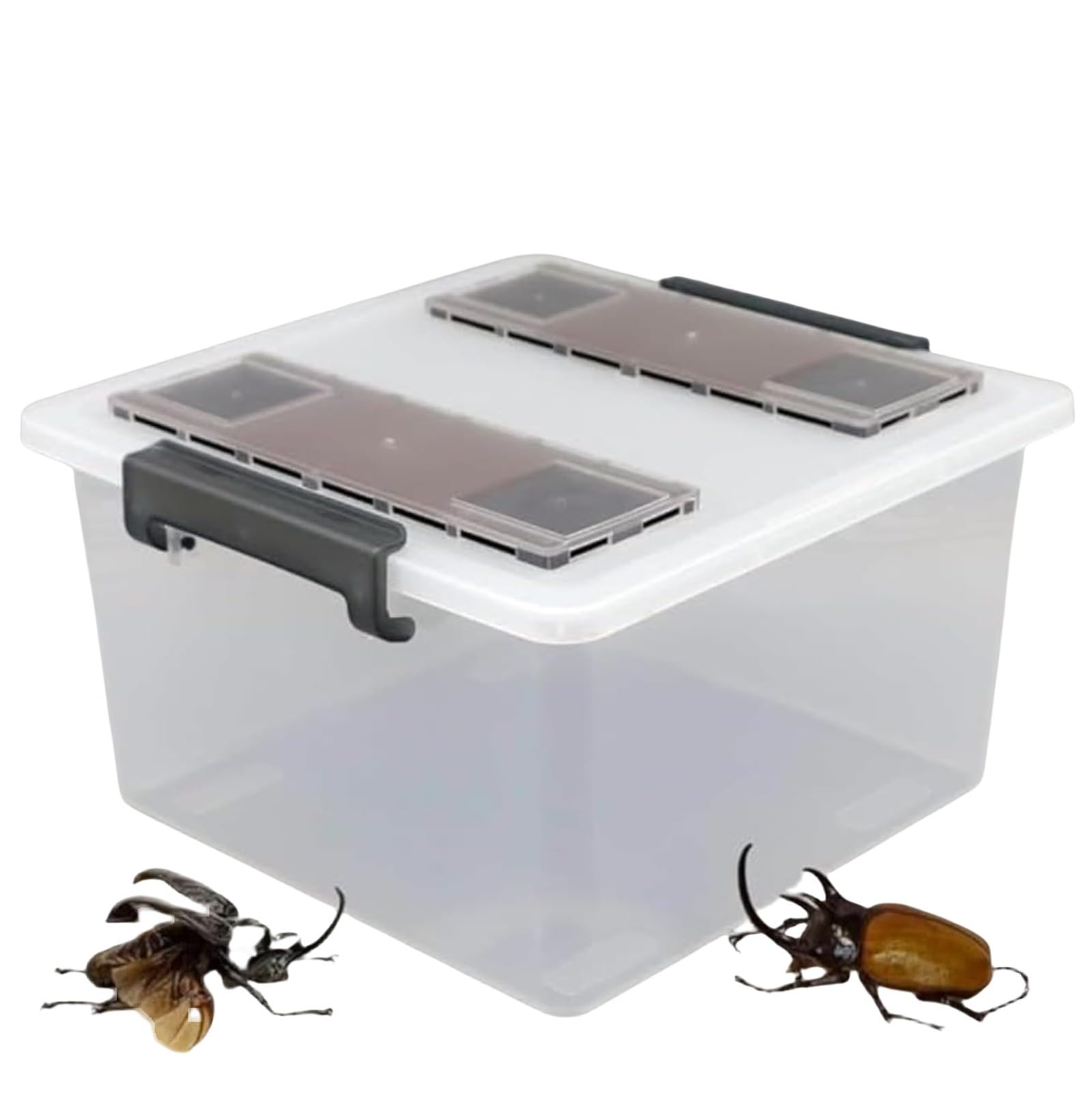 Amazon | 大きいクワガタカブトムシプロのケース 産卵用、幼虫飼育