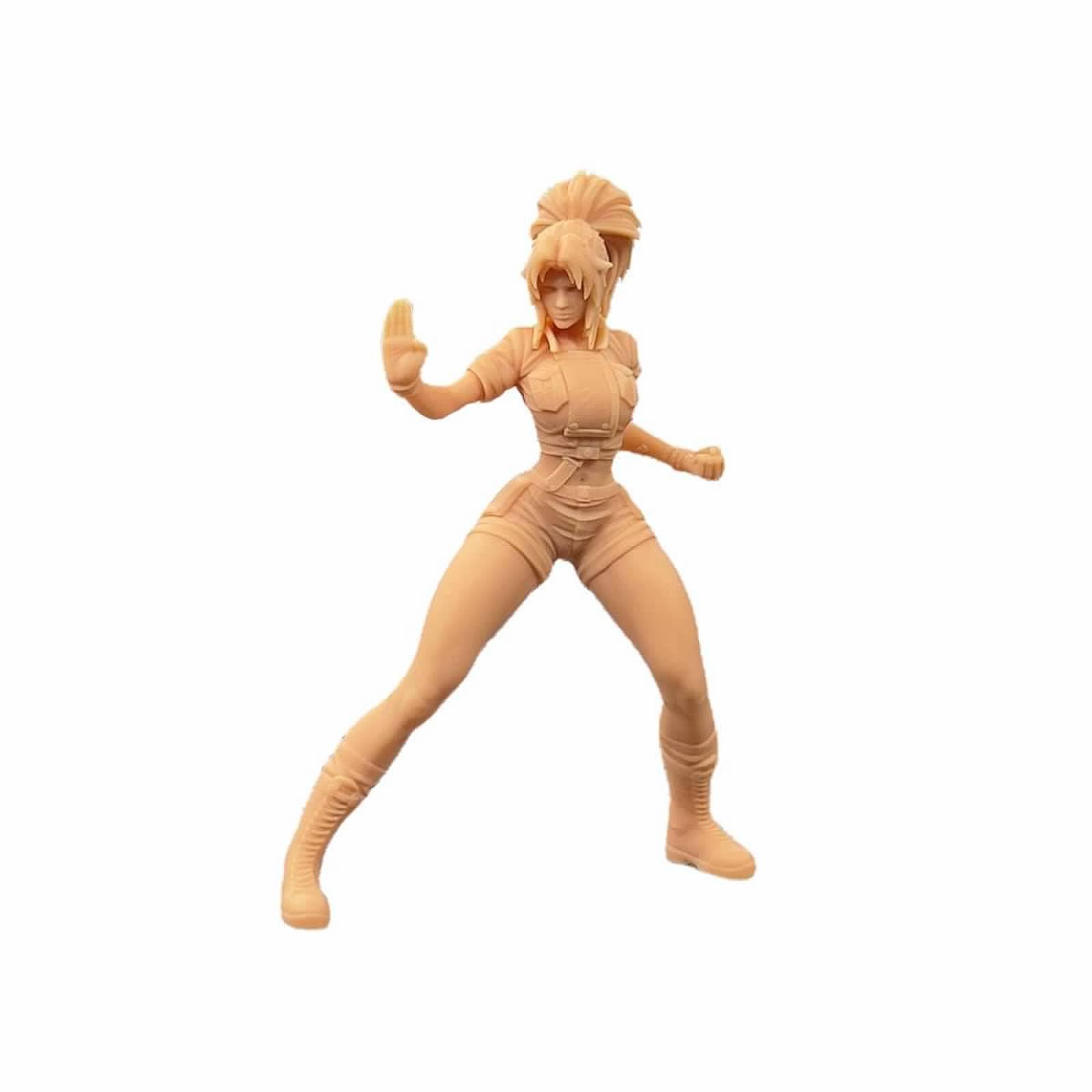 Amazon.co.jp: ZEDACAKAI 1/35 フィギュア アニメ 女性ボクサーキャラ