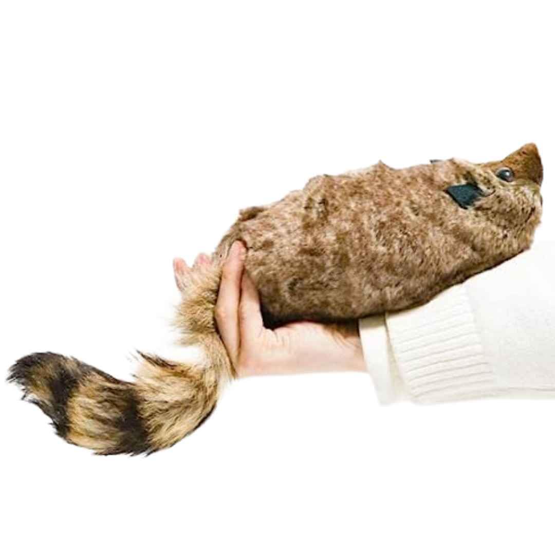 Amazon.co.jp: 手品 マジック ラクーン ラッキー君 スプリングペット