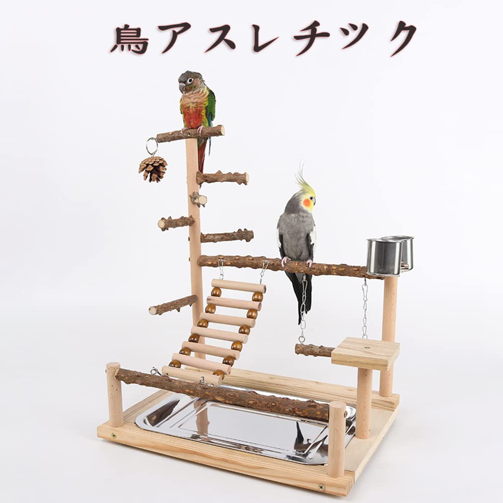 Amazon | 鳥アスレチック バードアスレチック インコ 遊び場 止まり木
