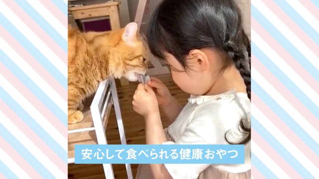 Amazon.co.jp: 【公式】neco-ri (ねこり) 獣医師と共同開発した健康