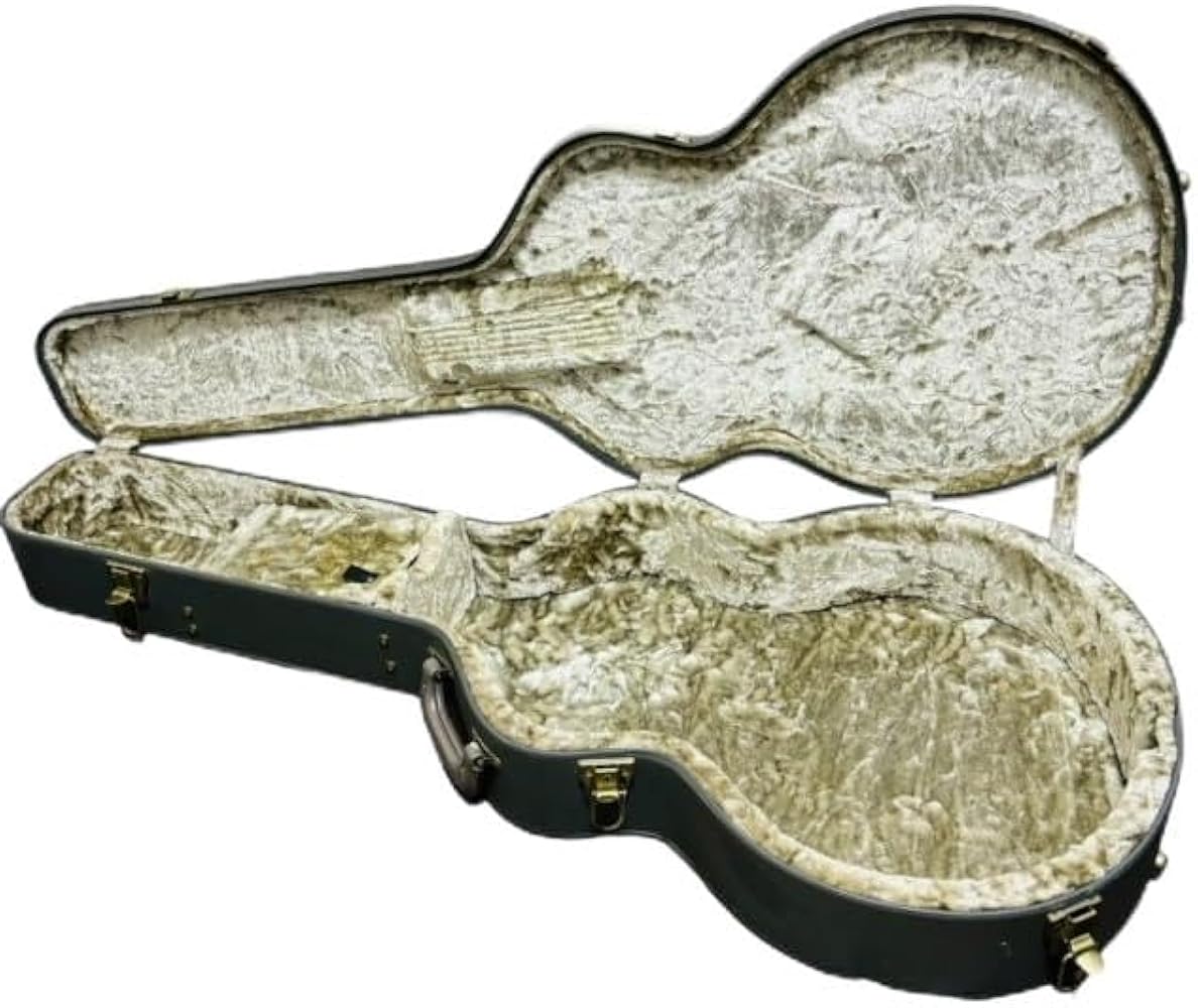 Amazon.co.jp: Gretsch グレッチ 6120用 純正ハードケース ギター