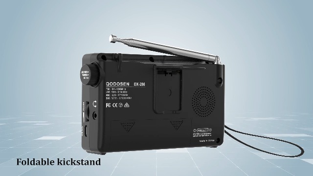 Amazon.com: QODOSEN DX-286 Portable Radio, with TEF6686 Automotive