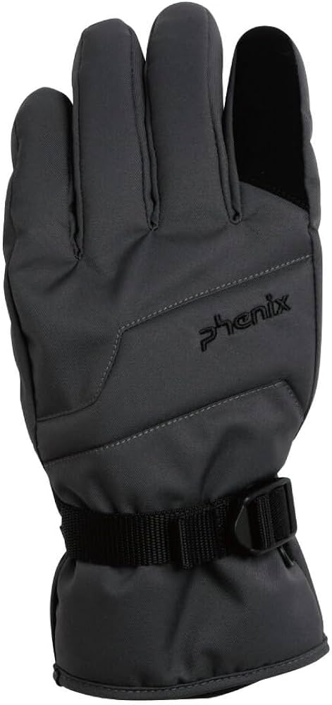 Amazon | [フェニックス] スキーグローブ メンズ GLOVE ESM23GL13 GRAY