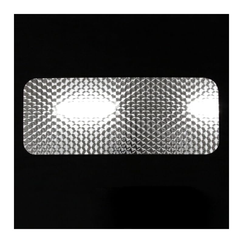 Amazon | 【Royal Queen】リニューアル♪両面ウロコ仕様！日野/HINO