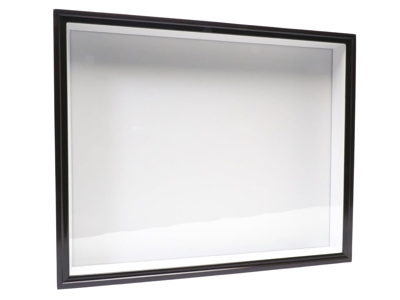 Amazon.co.jp: 大型ドイツ型標本箱（茶） : おもちゃ