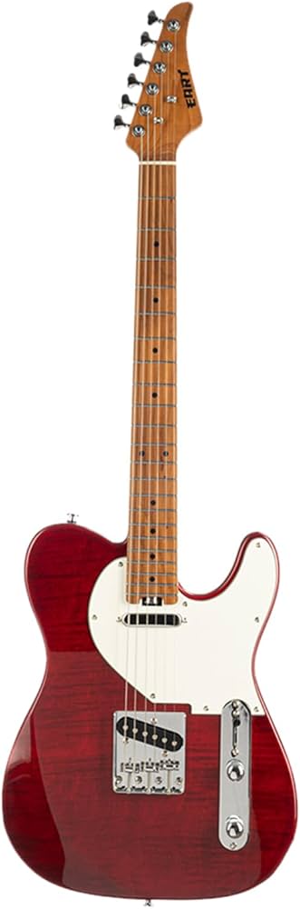 Amazon | EART NK-C1クラシックエレキギターメイプル指板、ステンレス