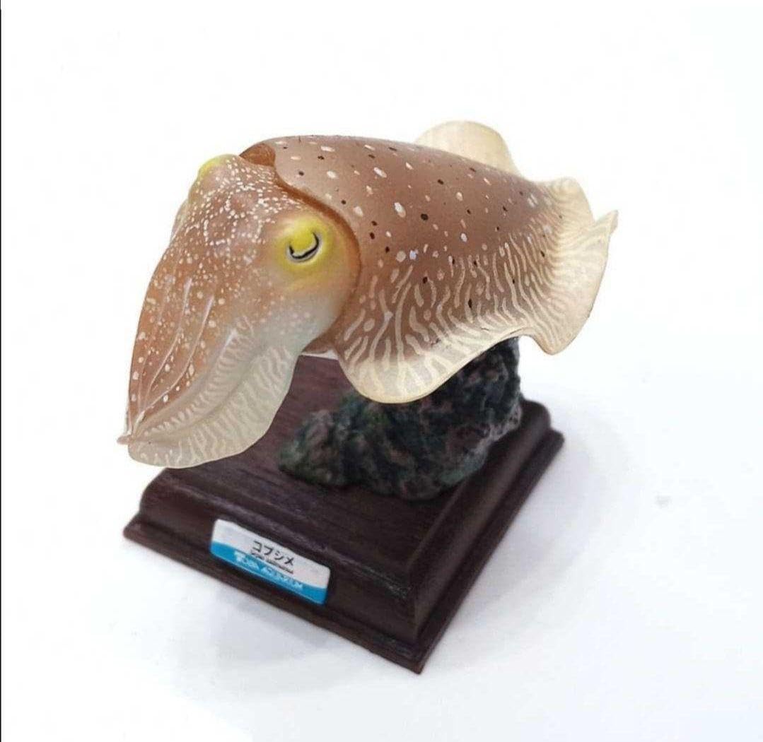 Amazon.co.jp: ネイチャーテクニカラー 立体コレクション3 初版