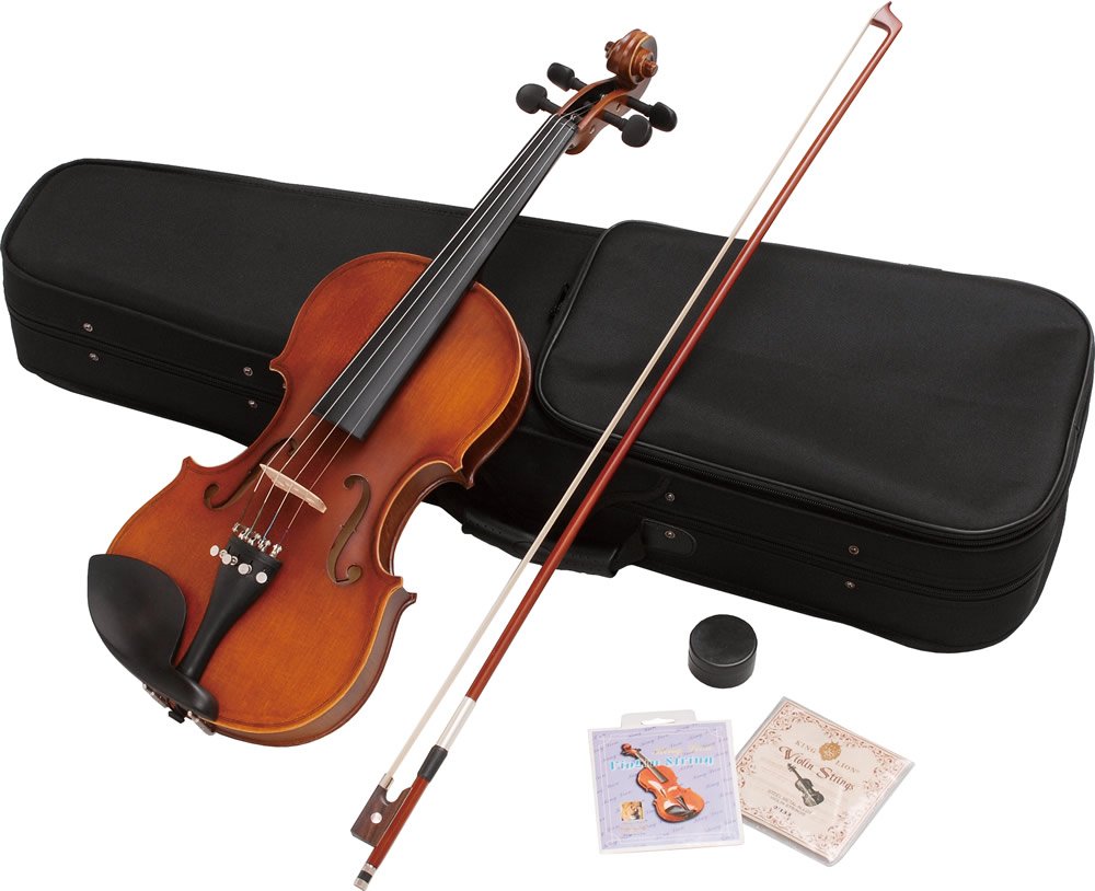 Amazon.com: Hallstatt Violin V-12 4/4 Size Violin (Regular Size