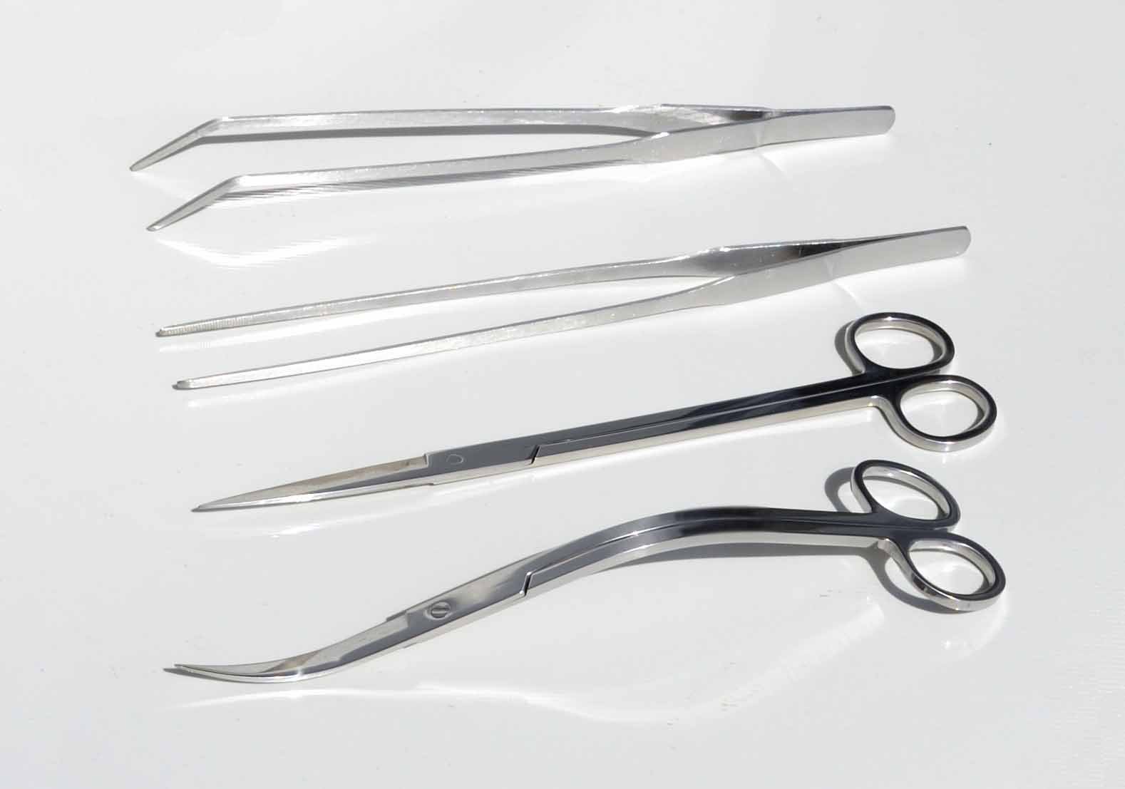 Amazon.co.jp: 水槽 トリミング ハサミ ピンセット 4点セット