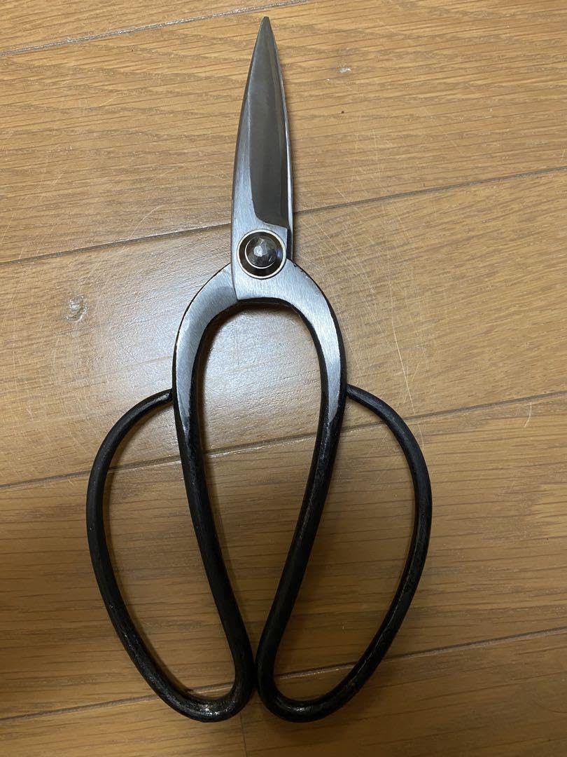 Amazon.co.jp: 植木鋏 津島鋏 兼光 中サイズ : DIY・工具・ガーデン