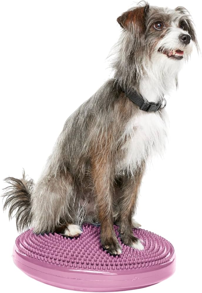 Amazon.co.jp: 犬用 アジリティグッズ FitPAWS バランスディスク 35.5