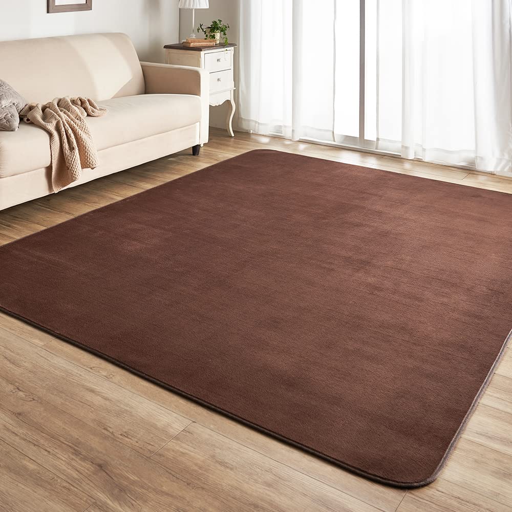 Amazon｜アイリスプラザ フランネルラグ ブラウン 185×185㎝ 滑り止め