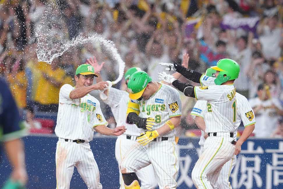 Amazon.co.jp: 阪神 タイガース レプリカ ユニフォーム Family with