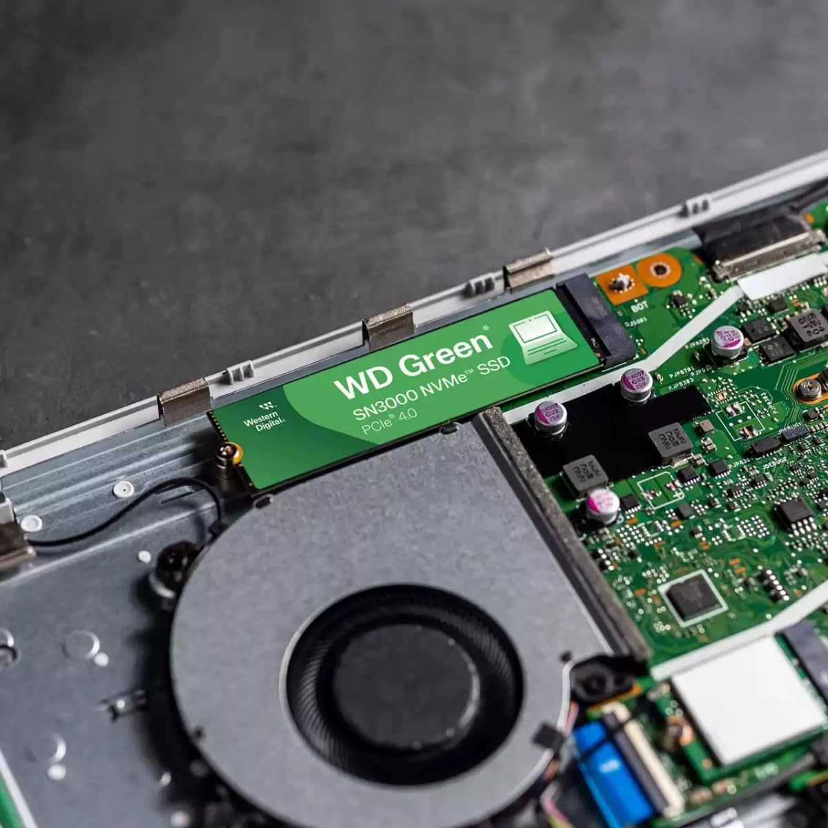 Amazon | Western Digital 1TB WD Green SN3000 NVMe 内蔵SSD